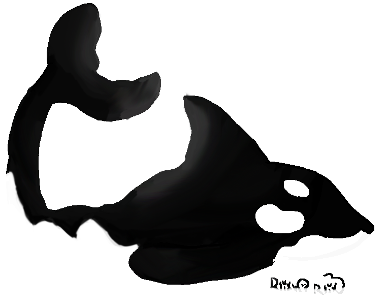 I DREW AN ORCA! THEY'RE SO COOL